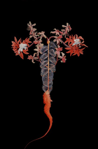 Illustration for article titled Fall in love with bugs through Tiffany Bozic's science art paintings